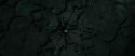 RdM1-Potterish13115.jpg