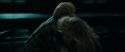 RdM1-Potterish13120.jpg