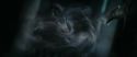 RdM1-Potterish13198.jpg