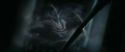 RdM1-Potterish13199.jpg