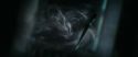 RdM1-Potterish13200.jpg