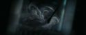 RdM1-Potterish13201.jpg