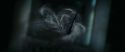 RdM1-Potterish13202.jpg