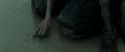 RdM1-Potterish13287.jpg