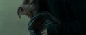 RdM1-Potterish13292.jpg