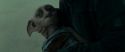 RdM1-Potterish13293.jpg