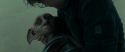 RdM1-Potterish13294.jpg