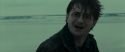 RdM1-Potterish13317.jpg