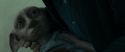 RdM1-Potterish13336.jpg