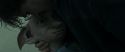 RdM1-Potterish13356.jpg