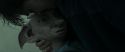 RdM1-Potterish13358.jpg