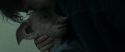 RdM1-Potterish13361.jpg