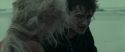 RdM1-Potterish13446.jpg