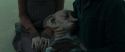 RdM1-Potterish13478.jpg