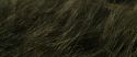 RdM1-Potterish13484.jpg