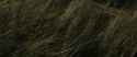 RdM1-Potterish13485.jpg