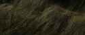 RdM1-Potterish13487.jpg