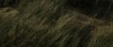 RdM1-Potterish13488.jpg