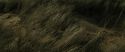 RdM1-Potterish13490.jpg