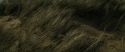 RdM1-Potterish13491.jpg