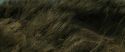 RdM1-Potterish13492.jpg