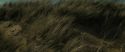 RdM1-Potterish13493.jpg