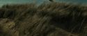 RdM1-Potterish13495.jpg