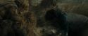 RdM1-Potterish13538.jpg