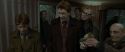RdM1-Potterish1357.jpg