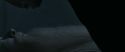 RdM1-Potterish13641.jpg