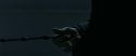 RdM1-Potterish13660.jpg
