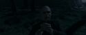 RdM1-Potterish13693.jpg