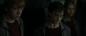 RdM1-Potterish2193.jpg