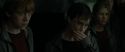RdM1-Potterish2195.jpg