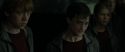 RdM1-Potterish2197.jpg