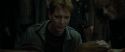 RdM1-Potterish2199.jpg
