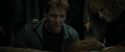 RdM1-Potterish2209.jpg