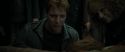 RdM1-Potterish2212.jpg