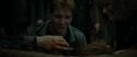 RdM1-Potterish2227.jpg