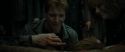 RdM1-Potterish2228.jpg
