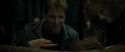 RdM1-Potterish2229.jpg