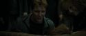 RdM1-Potterish2231.jpg
