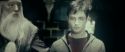 RdM1-Potterish2325.jpg