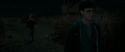 RdM1-Potterish2435.jpg