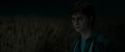 RdM1-Potterish2475.jpg