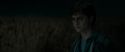 RdM1-Potterish2476.jpg