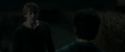 RdM1-Potterish2519.jpg