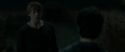 RdM1-Potterish2522.jpg