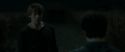 RdM1-Potterish2535.jpg