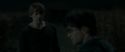 RdM1-Potterish2537.jpg